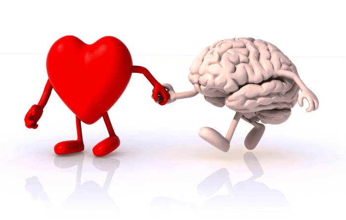 Illustration of a heart and a brain holding hands