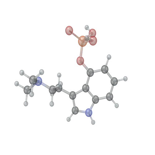 Three-dimensional model of the psilocybin molecule, with atoms shown as linked spheres